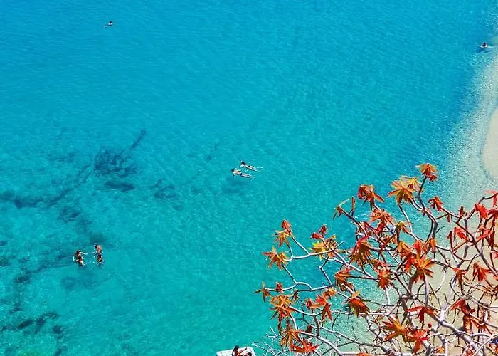 Domus Centro Pensionat