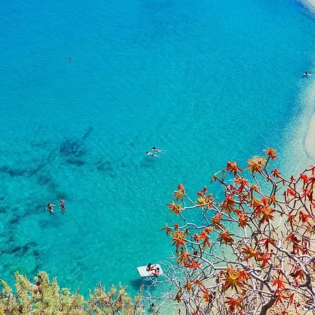 Domus Centro Gæstehus